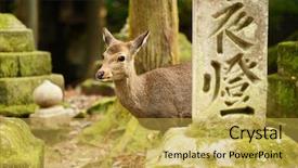  Presentation with deer - Beautiful slide deck featuring nara deer roam free backdrop and a yellow colored foreground