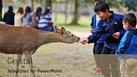  Presentation with divine - Presentation design having nara-japan-november-18-children background and a coral colored foreground