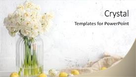  Presentation with narcissus - Slide set having narcissus flower and easter eggs background and a white colored foreground