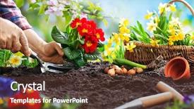  Presentation with garden - PPT theme enhanced with environment soil - planting spring flowers in sunny background and a tawny brown colored foreground