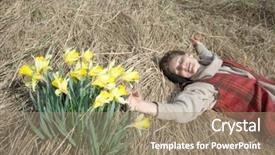  Presentation with dry - Beautiful PPT theme featuring narcissis - woman lying at field backdrop and a  colored foreground
