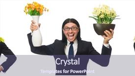  Presentation with white lotus flower - Slides consisting of narcissism - handsome businessman with flower pot background and a violet colored foreground