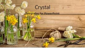  Presentation with narcissus - Presentation consisting of narcissus flower on wooden background background and a yellow colored foreground