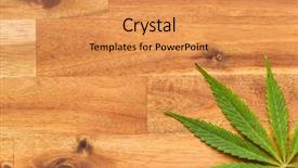  Presentation with narcotic - PPT theme enhanced with narcotic - green cannabis leaf on wooden background and a gold colored foreground