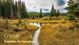  Presentation with spruce - Presentation theme featuring narrow-channels-of-a-shallow background and a tawny brown colored foreground