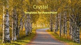  Presentation with country fall - Audience pleasing slide set consisting of narrow-country-road-through-alley backdrop and a tawny brown colored foreground