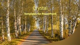  Presentation with country fall - Presentation theme enhanced with narrow-country-road-through-alley background and a tawny brown colored foreground