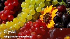  Presentation with sunflowers - Presentation theme having narrow dof - bunches of grapes and sunflowers background and a  colored foreground