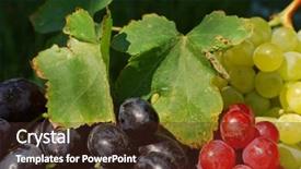  Presentation with sunflowers - Slide deck consisting of narrow dof - bunches of grapes and sunflowers background and a  colored foreground