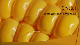  Presentation with corn cob - Presentation featuring narrow dof - macro of corn background and a  colored foreground