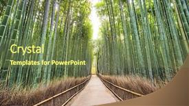  Presentation with kyoto - Presentation design with narrow path - bamboo forest of kyoto japan background and a tawny brown colored foreground