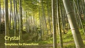  Presentation with kyoto - PPT theme featuring narrow path - bamboo forest of kyoto japan background and a tawny brown colored foreground
