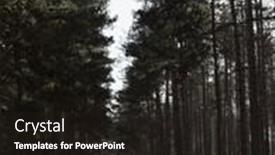  Presentation with woods - Cool new theme with narrow-path-in-the-woods backdrop and a wine colored foreground