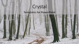  Presentation with forest road - PPT layouts featuring narrow road in forest path background and a light gray colored foreground