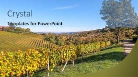  Presentation with rural road - Theme consisting of narrow-rural-road-along-autumnal background and a light blue colored foreground