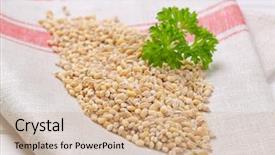  Presentation with pearl - Amazing slide set having narture - pile of pearl barley backdrop and a  colored foreground