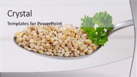  Presentation with pearl - PPT layouts enhanced with narture - spoon of pearl barley background and a white colored foreground