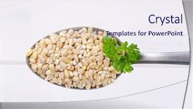  Presentation with pearl - PPT theme consisting of narture - spoon of pearl barley background and a sky blue colored foreground