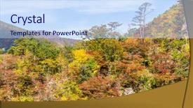  Presentation with season - PPT theme consisting of naruko-gorge-in-autumn-season background and a sky blue colored foreground