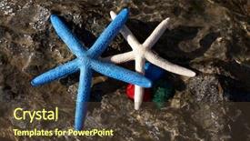  Presentation with stones - Presentation theme featuring natalicio - colourful starfishes and agata stones background and a tawny brown colored foreground