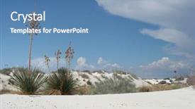  Presentation with beach ball sand dunes - Colorful slide set enhanced with national holiday mexico - desert vegetation on white sand backdrop and a teal colored foreground