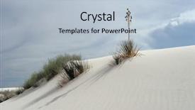  Presentation with lonely desert road - Cool new presentation theme with national holiday mexico - lonely desert plant backdrop and a light blue colored foreground