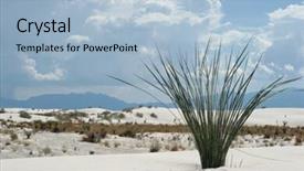  Presentation with lonely desert road - Colorful PPT theme enhanced with national holiday mexico - lonely desert plant backdrop and a light blue colored foreground