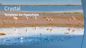  Presentation with shenandoah national park big meadows - Beautiful slide set featuring national-park-camargue-provence-france backdrop and a teal colored foreground