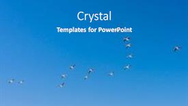  Presentation with france - Theme enhanced with national-park-camargue-provence-france background and a gray colored foreground