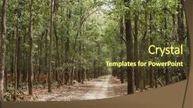  Presentation with forest road - Colorful presentation design enhanced with national park nainital uttarakhand india backdrop and a tawny brown colored foreground