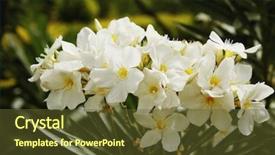  Presentation with purple lotus flowers blooming - Beautiful presentation design featuring national park nainital uttarakhand india backdrop and a tawny brown colored foreground