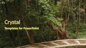  Presentation with india - Beautiful slide deck featuring national park nainital uttarakhand india backdrop and a tawny brown colored foreground