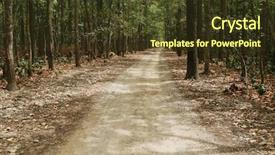  Presentation with forest road - Presentation design enhanced with national park nainital uttarakhand india background and a tawny brown colored foreground