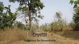  Presentation with forest road - Presentation design featuring national park nainital uttarakhand india background and a coral colored foreground