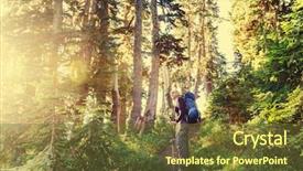  Presentation with forest - Presentation having national park spring - man backpacker in forest background and a  colored foreground