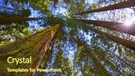  Presentation with california - Cool new slide deck with national park spring - sequoias in california view backdrop and a tawny brown colored foreground