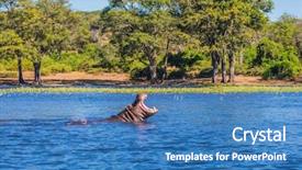  Presentation with tourism - Beautiful slides featuring nationalism - concept of extreme and exotic backdrop and a teal colored foreground
