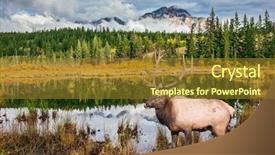  Presentation with rocky mountains - Presentation theme enhanced with nationalism - jasper national park background and a tawny brown colored foreground