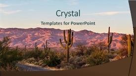  Presentation with saguaro - Theme featuring nationalism - saguaro national park background and a sky blue colored foreground