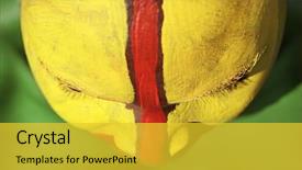  Presentation with traditional - Beautiful slides featuring native americans women - young african woman painted traditional backdrop and a yellow colored foreground