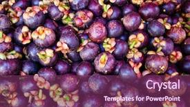  Presentation with mangosteen - PPT layouts having native design - fresh organic mangosteen background and a violet colored foreground