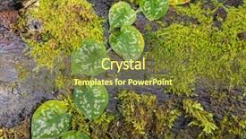  Presentation with wood log - Cool new PPT layouts with native design - heart shaped leaves of satin backdrop and a tawny brown colored foreground