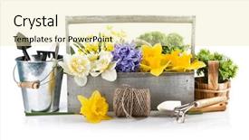  Presentation with garden tools - Theme with native instruments - spring flowers in wooden basket background and a soft green colored foreground