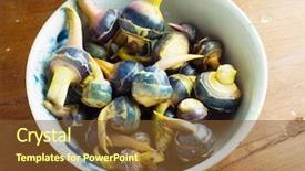  Presentation with wetland - Amazing theme having swamp potato of the arrowhead backdrop and a tawny brown colored foreground