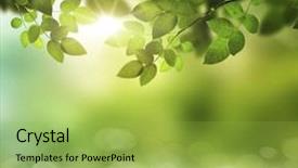  Presentation with elegant abstract of blue green - Colorful theme enhanced with natrual - eco nature green and blue backdrop and a yellow colored foreground