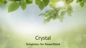  Presentation with eco - Audience pleasing presentation theme consisting of natrual - eco nature green and blue backdrop and a soft green colored foreground