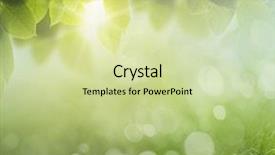  Presentation with green nature - Colorful slides enhanced with natrual - eco nature green and blue backdrop and a soft green colored foreground