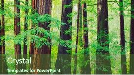  Presentation with northwest forest - Amazing presentation theme having white cloud texture created by 3d rendering graphic backdrop and a dark gray colored foreground