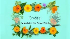  Presentation with alternative medicine - Presentation theme with natural-alternative-medicine-of-herbs background and a  colored foreground