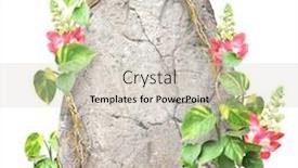  Presentation with jungle - Presentation theme featuring natural-ancient-stone-and-flower background and a soft green colored foreground